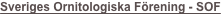shapeimage_2_link_0